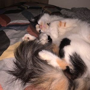 Meet your Posher, Tammy